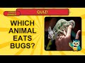 Jungle Animals Quiz for Kids! 🌿 Can You Get All 13 Right?