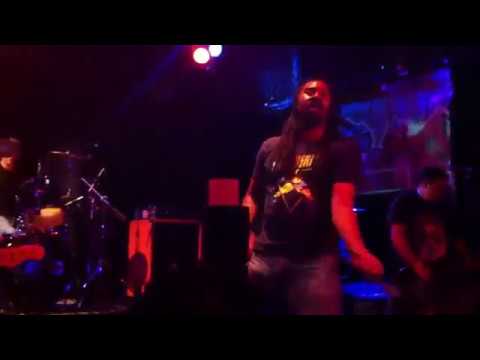 The Bollweevils - Chronic