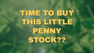 Hemp Inc Update 07-14-2022 Is Now The Time To Buy HEMP?