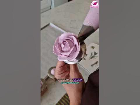 Зефир к чаю. Зефирные розы. Черничный зефир. Просто и красиво. - YouTube