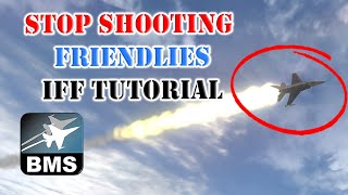 Falcon BMS | F-16 IFF Tutorial | Stop shooting your wingman