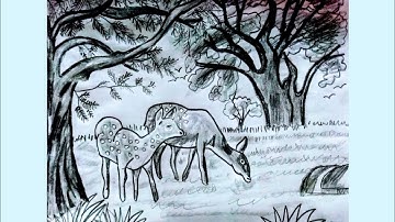 Class 6 assignment Bangladesh and Global Studies  16th week answer || Class 6 bgs assignment drawing