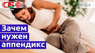 Зачем нужен аппендикс в организме? Почему воспаляется аппендицит? Как этого избежать?