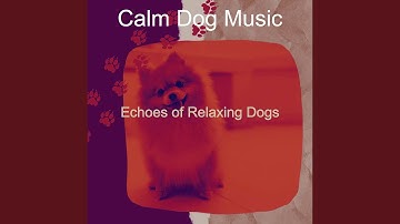 Pulsating Ambience for Relaxing Puppies