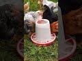 19 мая 2026 г.