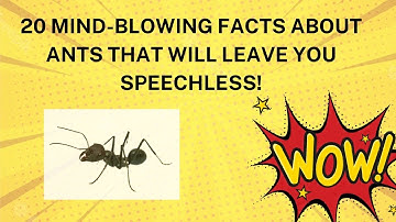 20 Mind-Blowing Facts About Ants That Will Leave You Speechless!.