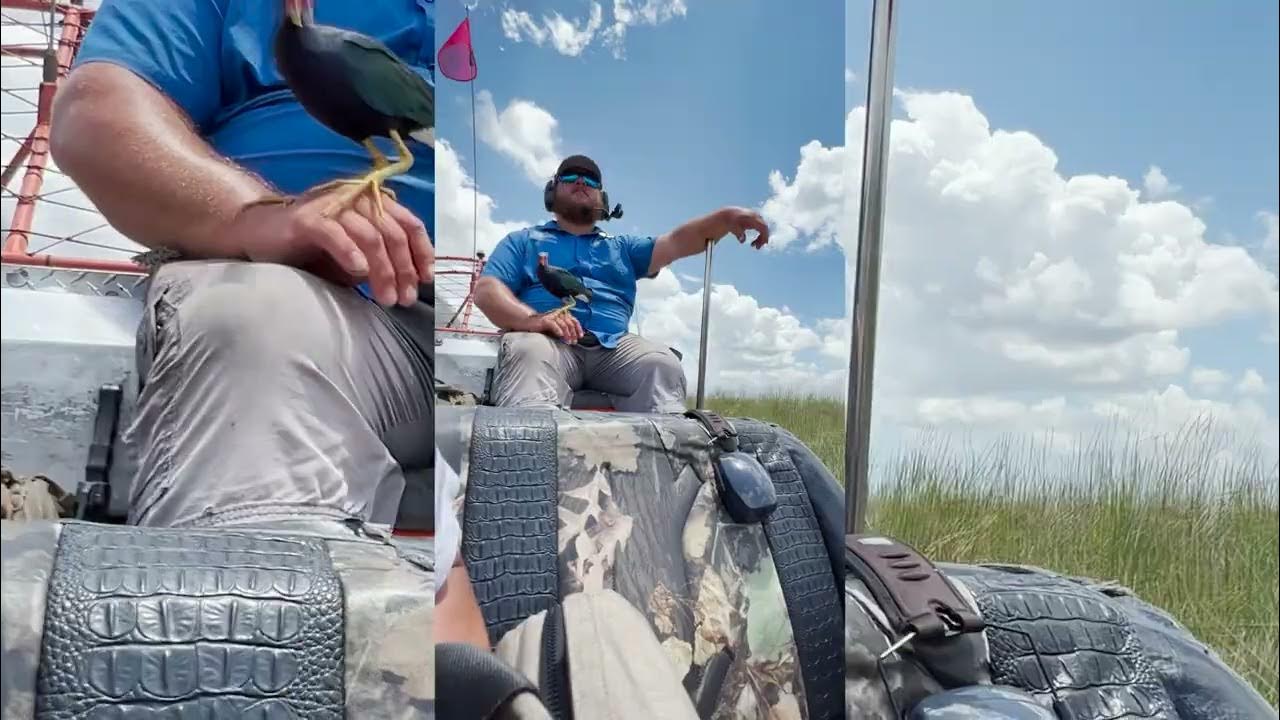 Is an Everglades Boat Tour Worth It? YouTube
