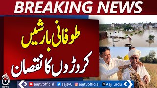 Rain Hits Fodder Supply, Prices Surge in Hafizabad | Heavy Rains |NDMA Alert Issued | Weather Update