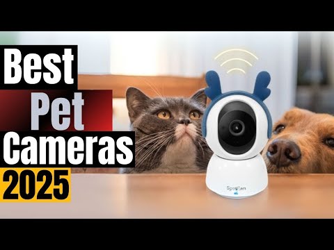 Best Pet Monitoring Camera for Privacy: eufy Pet Camera 360°