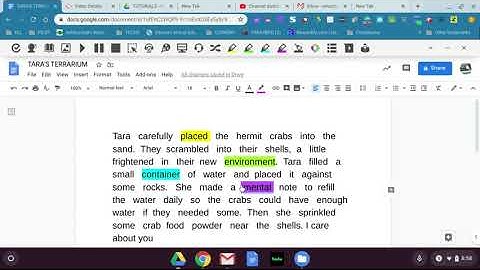 READ & WRITE HIGHLIGHTING