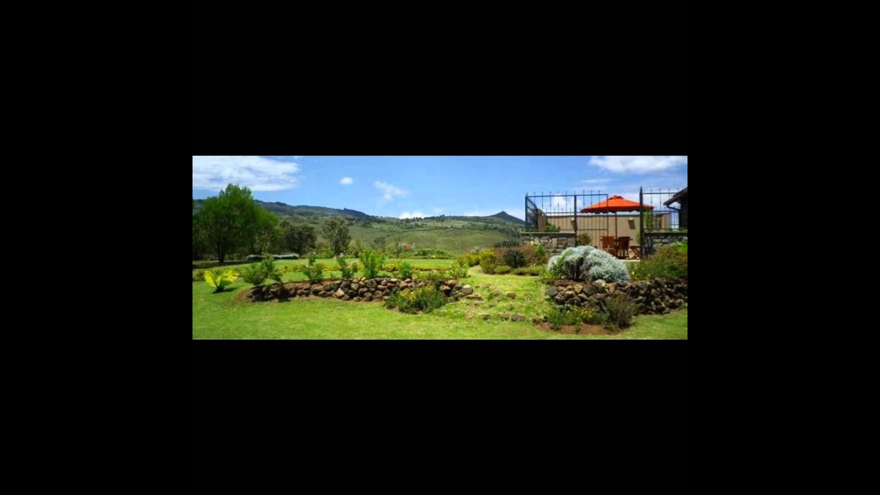 Davido - Fans Mi ft. Meek Mill