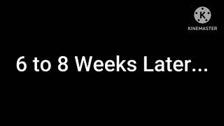 Disney Channel Tangled Wand Id Bloopers