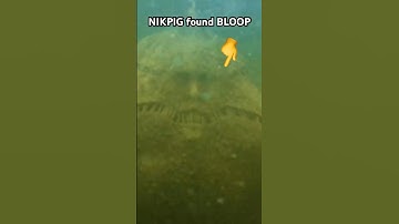 real BLOOP ! NIKPIG found the Bloop!