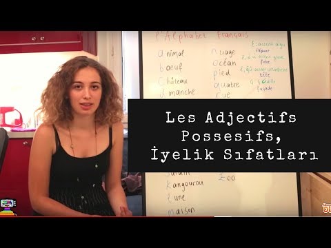 Fransızca Dersler 9: Les Adjectifs Possesifs, İyelik Sıfatları - Fransızca Öğreniyoruz