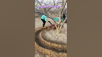 Nông nghiệp công nghệ cao, Tưới tự động Tháp Xanh