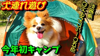 【4K】2020年10月 今年初キャンプ ウェルネスパーク五色【犬連れ遊び】