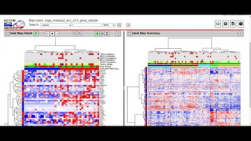 (English Version) Visualizing Clinical Data Using Heatmaps in cBioPortal for Cancer Genomics