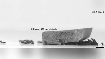 South Korea’s Ant-Inspired Robot Swarms: The Future of Heavy Lifting | Innovation in Robotics