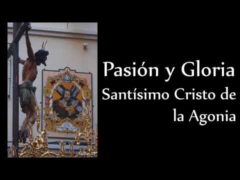 Venerable Hermandad de la Caridad en Cristo Nuestro Señor y Cofradía de Nazarenos del Santísimo Cristo de la Agonía, María Santísima de las Penas, Reina y Madre, y Santo Domingo de la Calzada