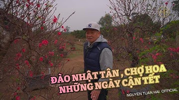 Không khí Hà Nội những ngày gần tết | Nguyễn Tuấn Hải
