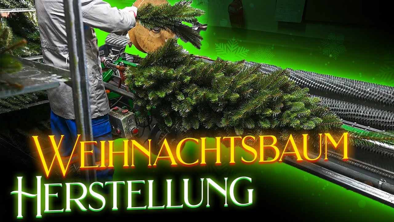 Künstlicher Weihnachtsbaum Herstellung: Produktion der Pure Living Nordmanntanne