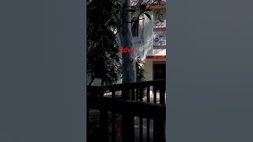 jabalpur MP #RDVV#subscribe