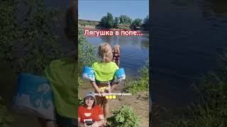 Лягушка в попе  ...