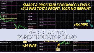Fibo Quantum Forex Indicator Demo