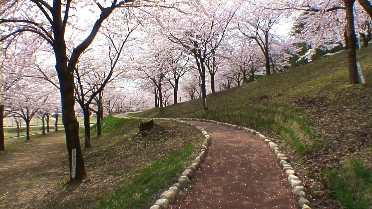 村松公園桜まつり 21年 祭の日