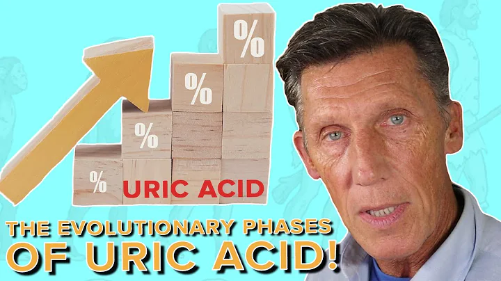The Evolutionary Phases of Uric acid You Need To Know
