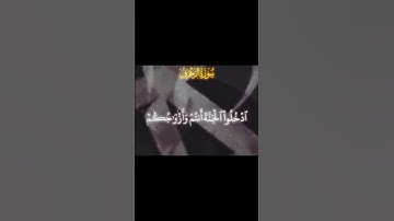 ادخلو الجنه /قران كريم #اللهم_صل_وسلم_على_نبينا_محمد #اكسبلور #القرآن_الكريم #لايك
