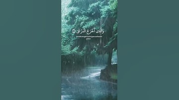 سورة الأعلى بصوت جميل🤍