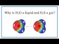 Hydrogen Bonding and Molecular Properties