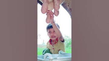 Thumbnail of choti choti gaiya tyfhfgfg #love #song #funny