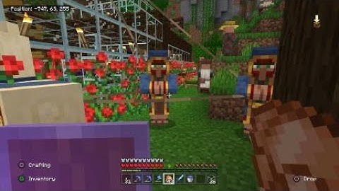 Minecraft survival 2 Wandering Traders spawns at same time