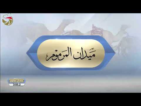 حقاقة للقبائل المرموم 05 10 2025 ش12 مياس ل خليفه نصيب خليفه الخيلي 4 33 6