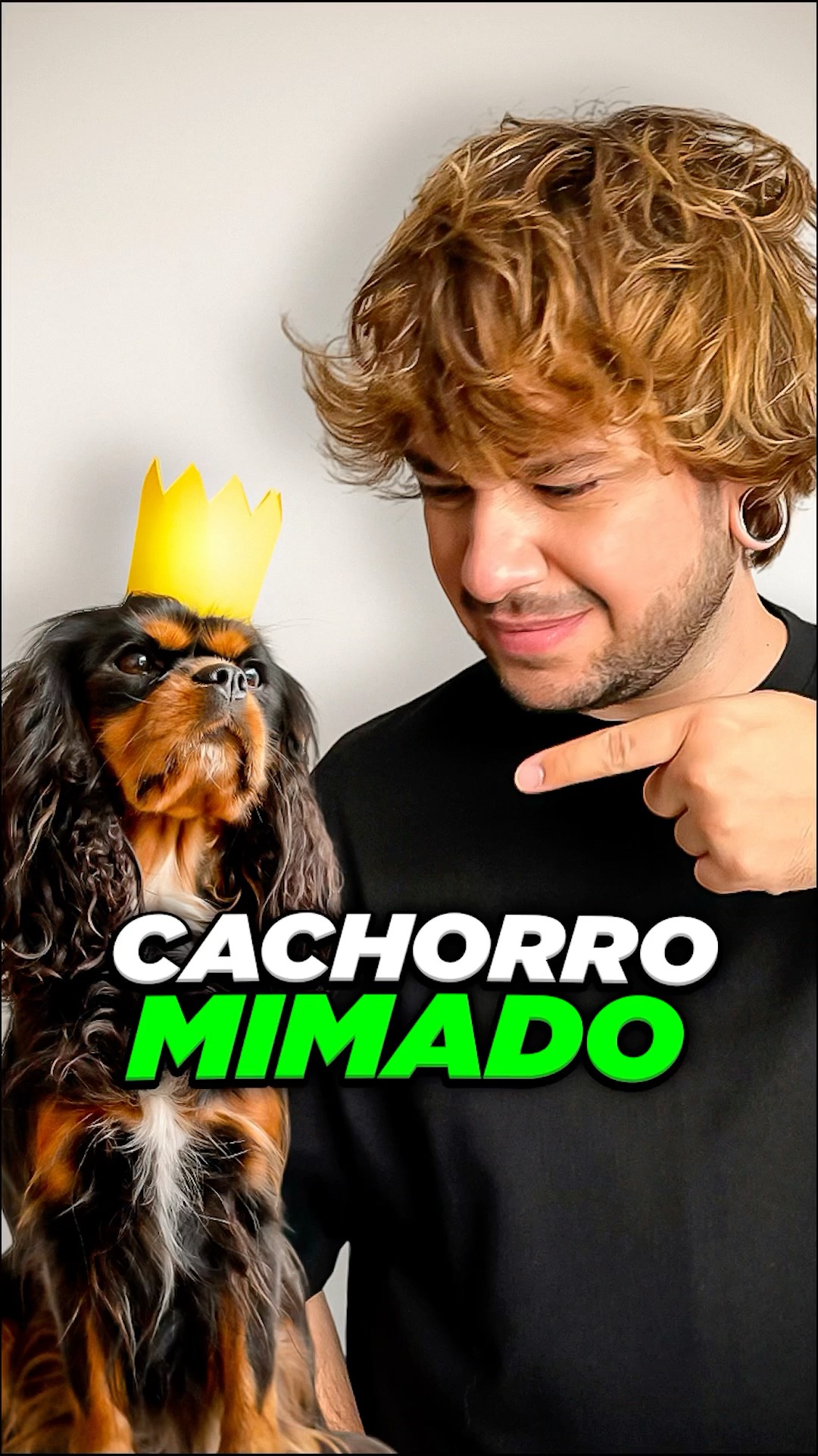 cachorro mimado #livedobrino #humor #Mundinhobrino