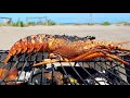 ROCK LOBSTER HUNT FISHING FOR FOOD BEACH CAMPING OVERNIGHT