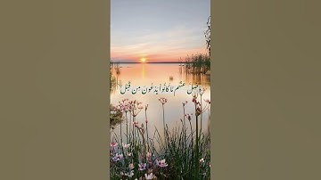 سورة فصلت آيه 48 #القران #quranchapter #مصر #لايك #القاريء #quransurah #shortvideo #تيك_توك #تجويد