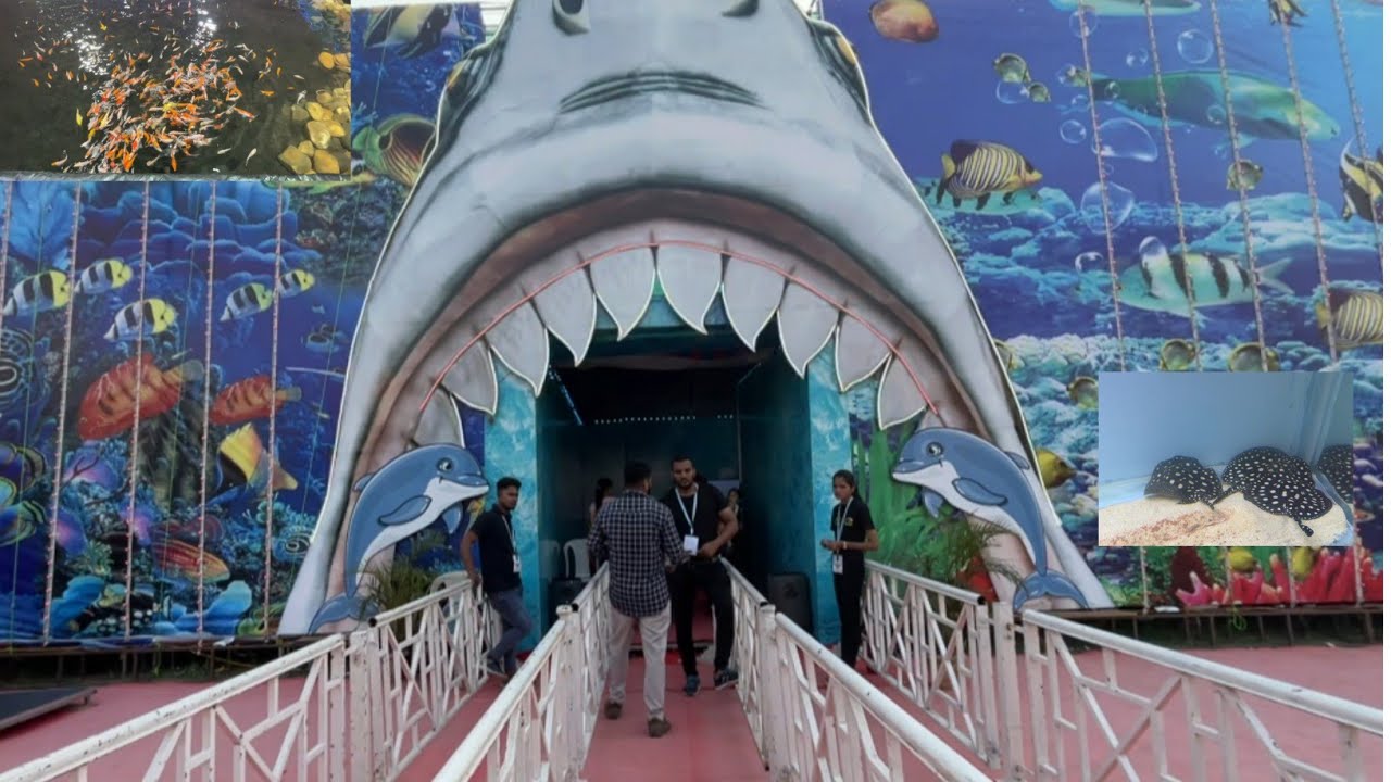 Surat underwater tunnel aquarium🐟🐠🐡🐬🦈 aquarium mela YouTube