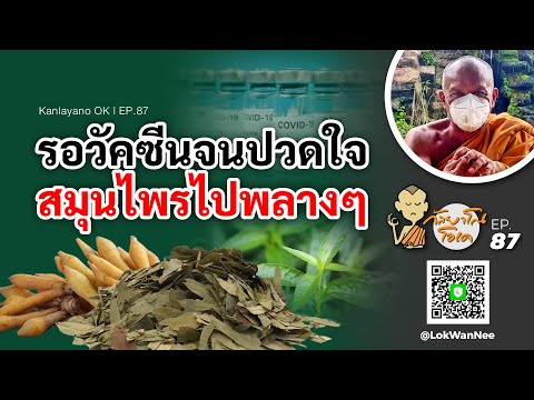 กัลยาโณโอเค | Kanlayano OK | EP.87 | รอวัคซีนจนปวดใจ สมุนไพรไปพลางๆ