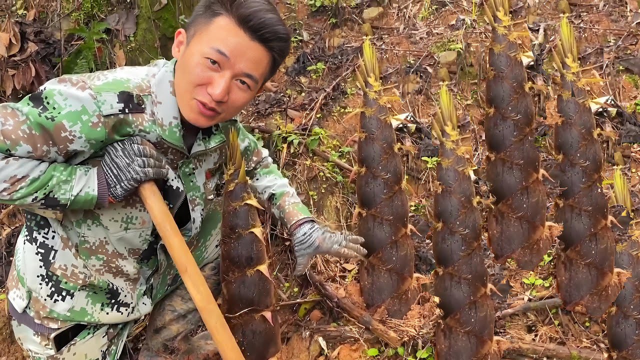 运气来了挡也挡不住，发现超大春笋长满山坡，教你如何一锄头一个，太过瘾了!【乡村阿峰】