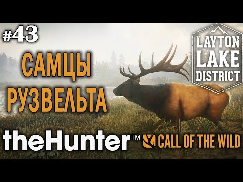 Видео: theHunter call of the wild #43 🔫 - Самцы Рузвельта - Арбалет, Винтовка - Лось, Олень