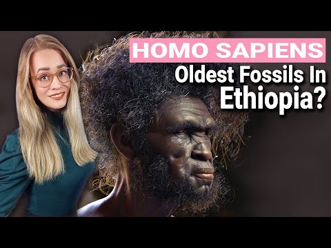 Homo Sapiens Fossils Are Older!