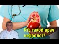 Чем отличается врач нефролог от уролога.