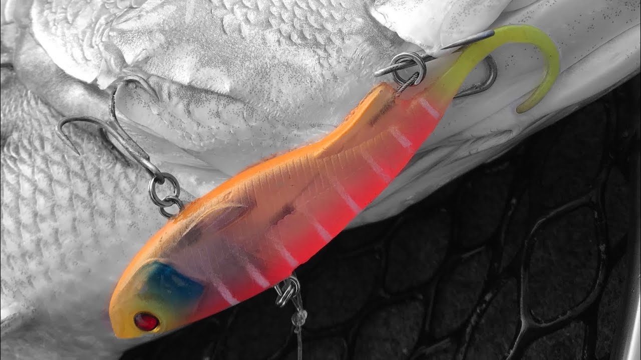 The Barramundi VIBES! on Zerek Fish Trap vibes