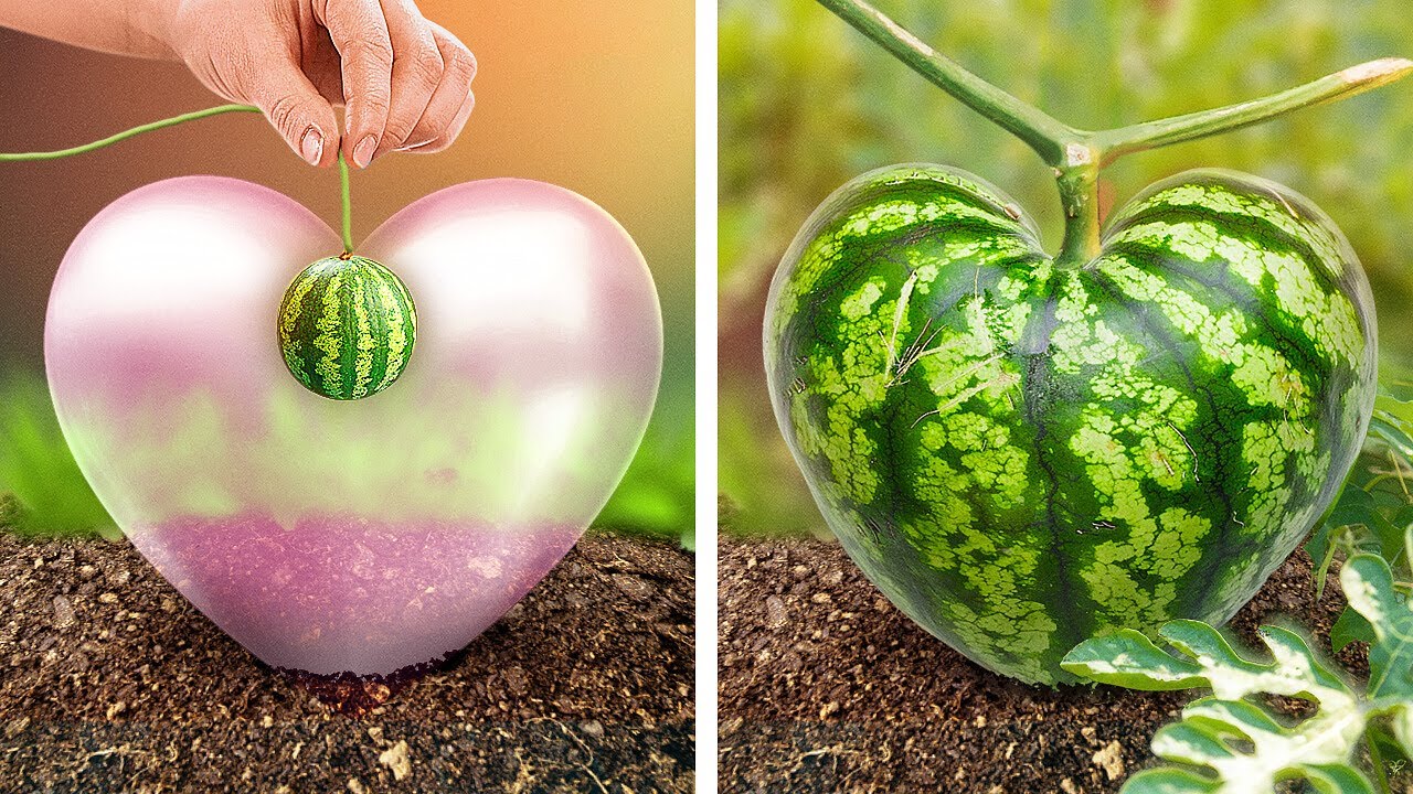 Discover New Gardening Hacks for Spring  Beautiful Ideas for Abundant Flowers and Veggies