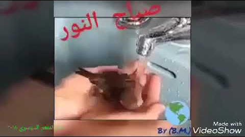 ما تيسر من سورة النمل