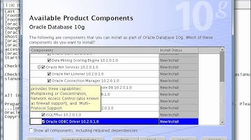 01.08 Oracle_10gR2_DataGuard_Install Oracle Database 10gR2 Software Using OUI(CN).avi