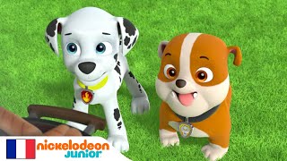 Paw Patrol La Pat Patrouille Le Dragon Cracheur De Feu Nickelodeon Junior